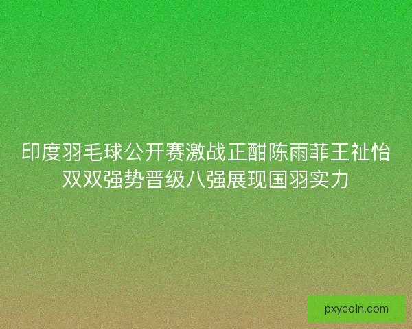 印度羽毛球公开赛激战正酣陈雨菲王祉怡双双强势晋级八强展现国羽实力